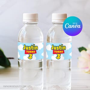 Toy Story Water Bottle Label Template, Printable Toy Story Bottle Label, Editable Bottle Label 026
