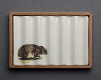 Soap Dish with Wombat