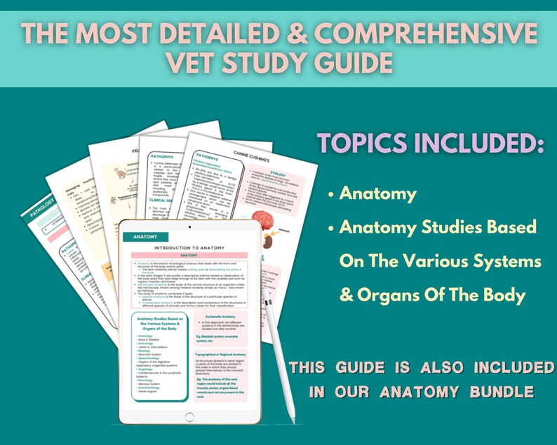 Introduction to Vet Anatomy Notes Veterinary Med Lessons Etsy Canada
