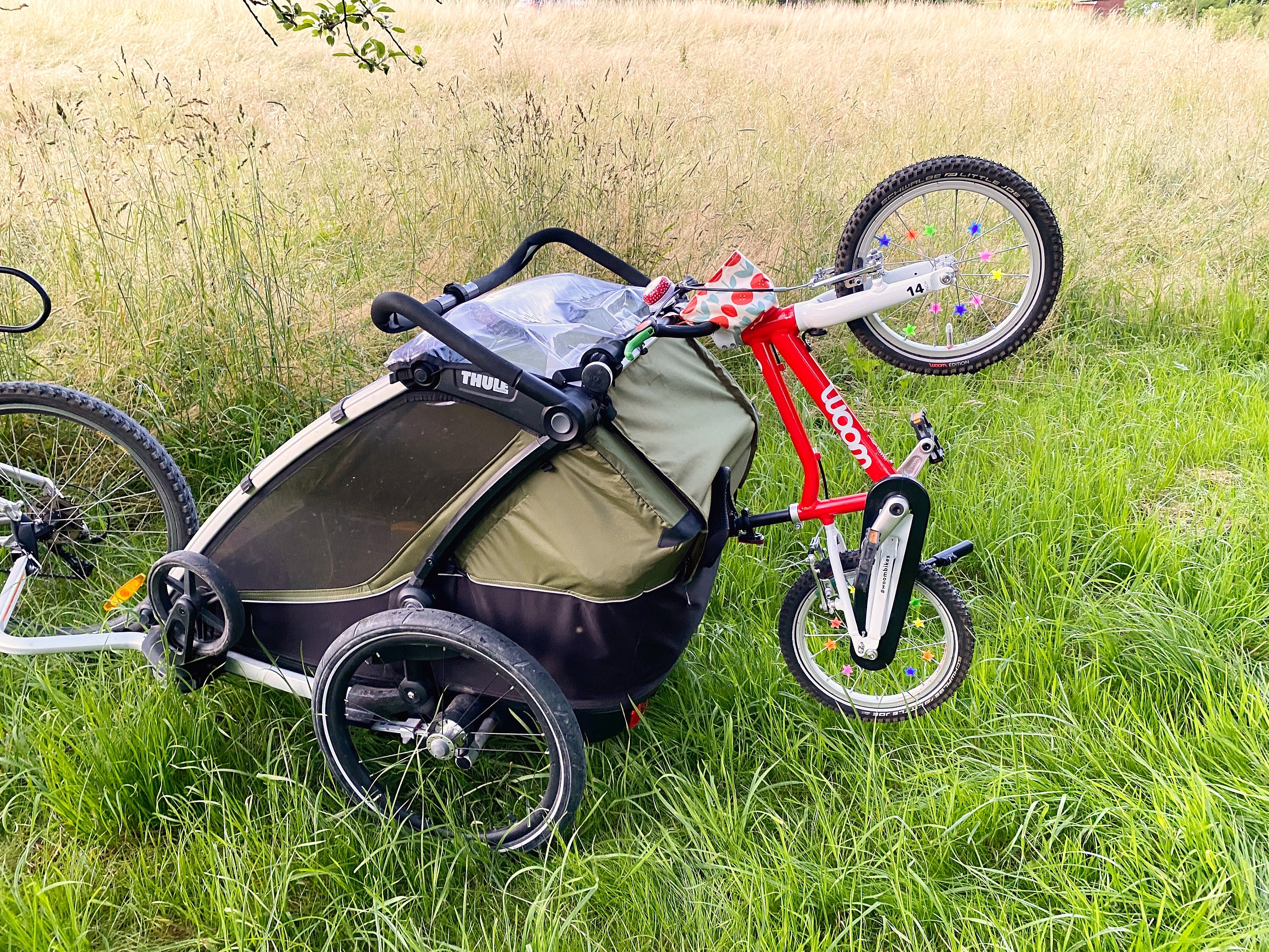 mini dodelijk Instituut Thule Chariot fietsendrager universele fiets/wielhouder & - Etsy België