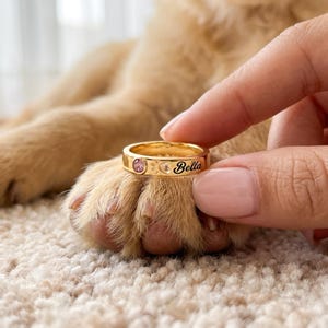 Peut inclure: Une bague dorée ornée d'une petite pierre rose circulaire, d'une découpe en forme de cœur et du prénom Bella gravé en lettres noires. L'anneau présente une finition lisse et polie, posé sur une patte d'animal au pelage brun clair.