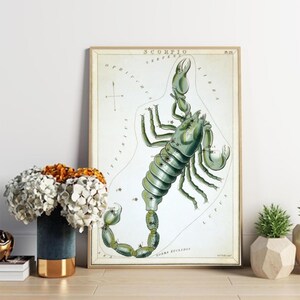 Carte ancienne de la constellation du Scorpion (1825) Poster