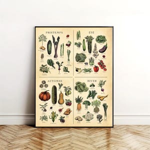 Tableau des Fruits et Légumes de Saison FRANÇAIS Poster