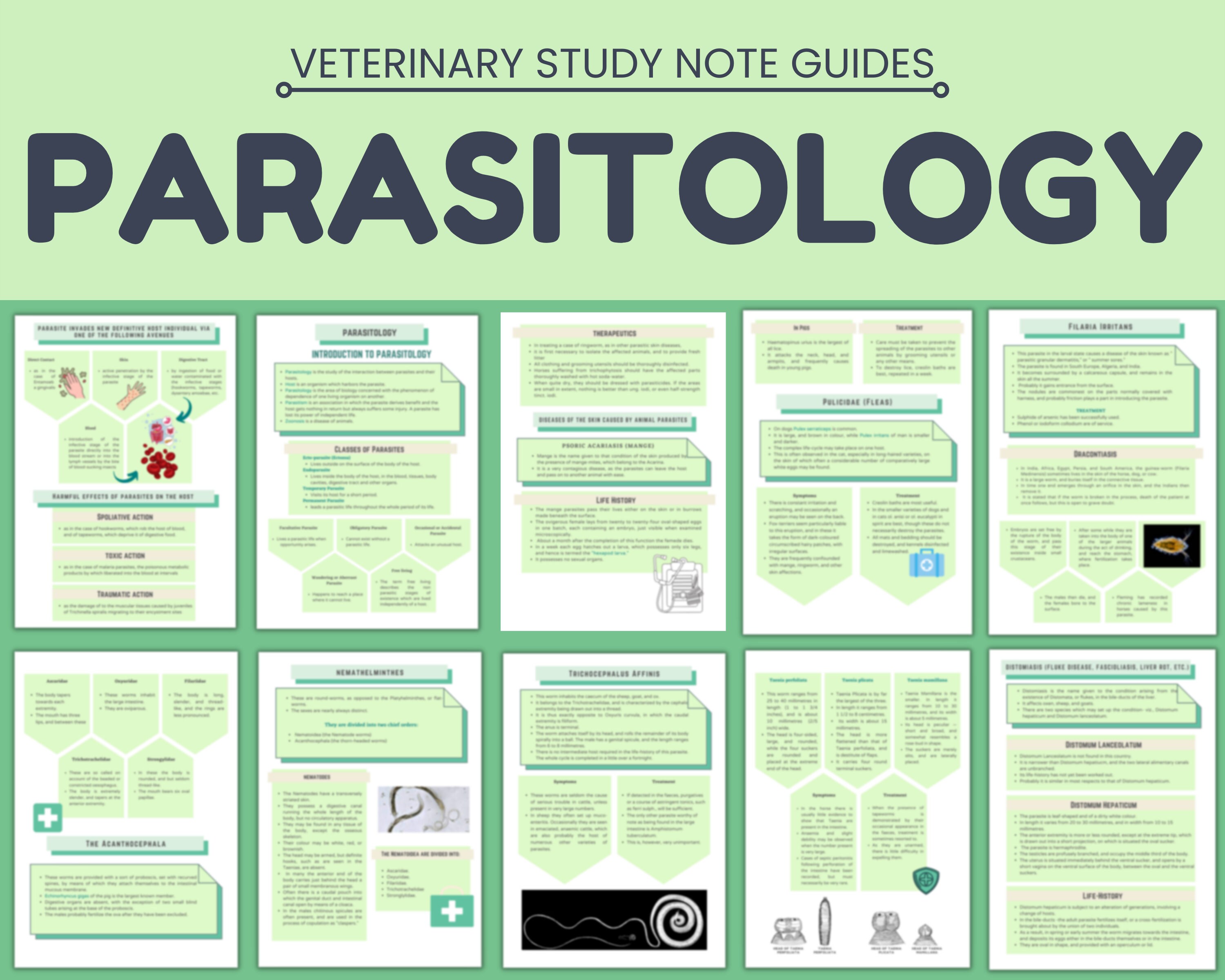 Vet Parasitology Study Guide PDF Printable 100 Pages Etsy