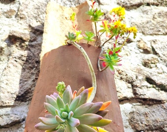 Provençal suspension for plants