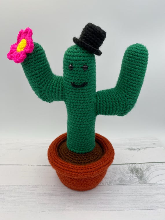 Mr Cactus Crochet Pattern - Etsy Israel