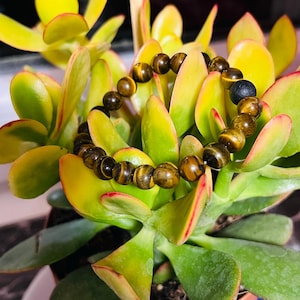 May include: A beaded bracelet featuring round, polished tiger's eye stones with characteristic golden-brown bands and a single matte black porous bead. The beads are strung together in a circular loop, showcasing natural variations in color and texture.