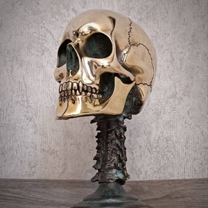 Skull Golden - Skull in Bronze - Skull - Skeleton Head - Darkside Skeleton - Tattoo Studio Decor - Horror Decor - Hypebeast Decor