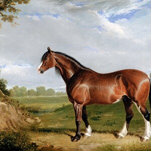 May include: A painting depicting a brown horse with a black mane and tail, set in a pastoral landscape. The horse has white markings on its face and legs. A large tree is on the left, and a cloudy sky is overhead.
