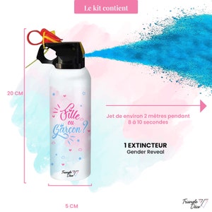Extincteur Gender Reveal - Canon à Poudre Rose Pour Annonce Fille - Fête Prénatale Holi 100% Safe