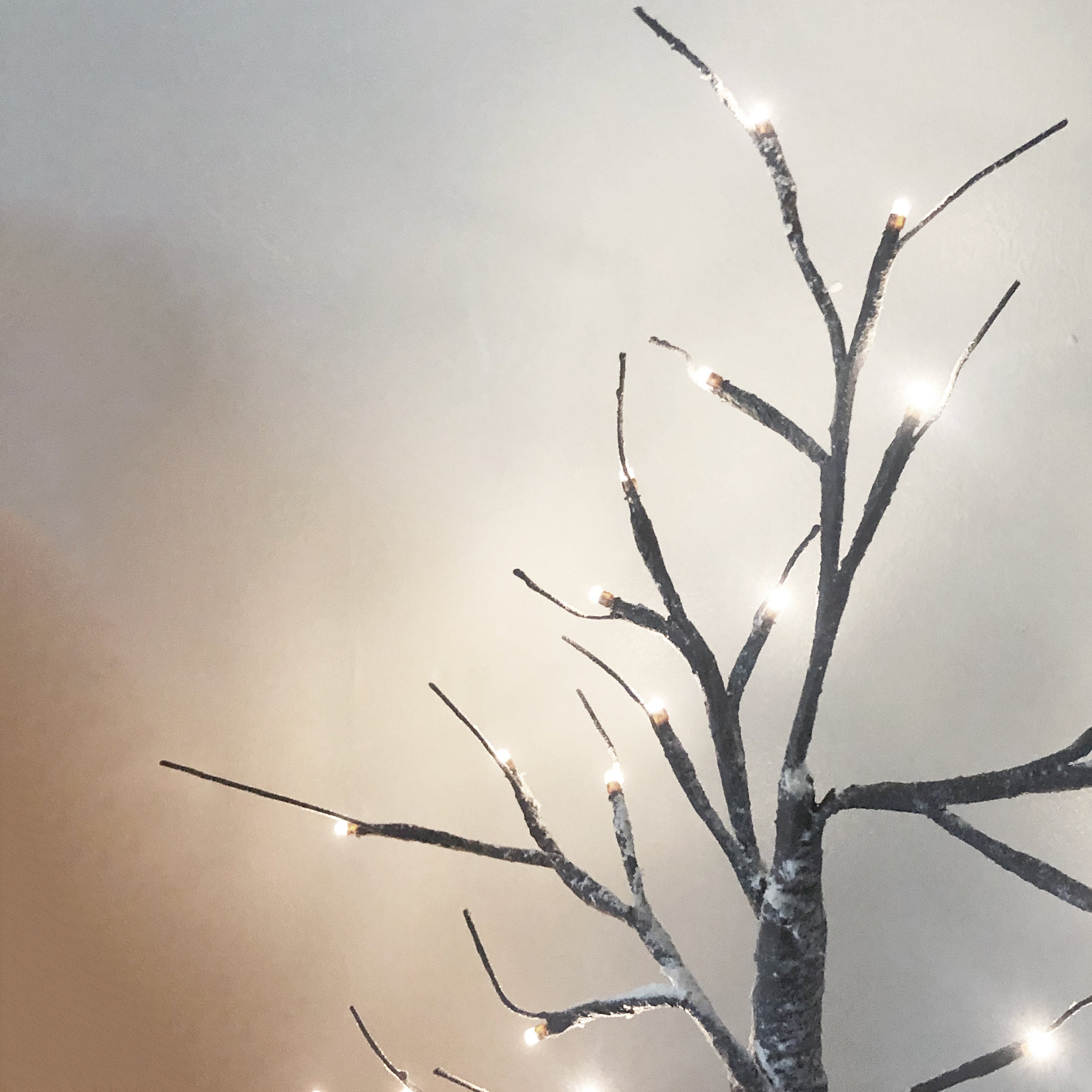 Mini 2024 twig lights
