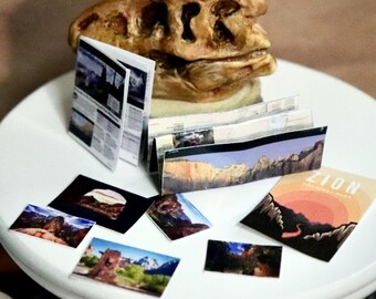 May include: A miniature scene featuring a dinosaur skull and several small postcards and brochures on a white table. The postcards display landscape images, and one reads "ZION". The skull is a light brown color.