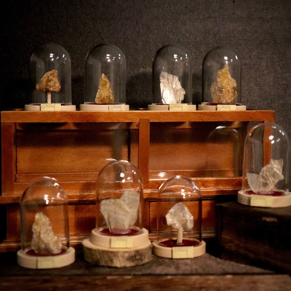 Miniature 1:12 Rock Specimens in a Glass Dome- fairy garden cloche- curiosity decoration- dollhouse museum display- Quartz- Mica-