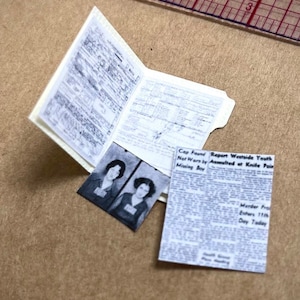 1:12 Antique Asylum Arrest File Folder Dollhouse Miniature- Tiny Curiosities for Scale Models & Dioramas- Police, CSI, True Crime, Detective