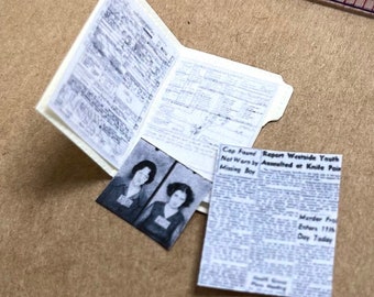 Carpeta de archivo de arresto de asilo antigua a escala 1:12, miniatura para casa de muñecas: pequeñas curiosidades para maquetas y dioramas: policía, CSI, crímenes reales, detectives