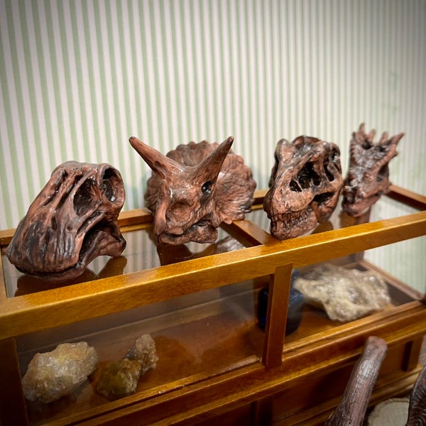 Multi-Scale or 1:12 Dinosaur Skull Specimen Dollhouse Miniatures -Museum Curiosity- T-Rex Triceratops Variety- Tiny Ancient Creature