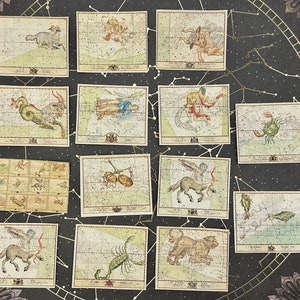 Multi-Scale 14 pc Horoscope Astrology Chart Astrological Star Maps, Charts, and Diagrams- dollhouse planetary, emporium, museum, observatory