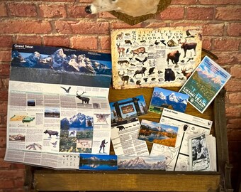 May include: A collection of Grand Teton National Park memorabilia, including a map, postcards, and a wildlife poster. The items are displayed on a wooden cabinet against a brick wall, with a deer head mount above.
