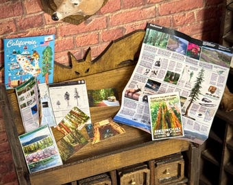 May include: A miniature wooden cabinet with small drawers, holding travel brochures and a map of California. A deer head mount hangs above. The brochures feature images of redwood trees and landscapes.