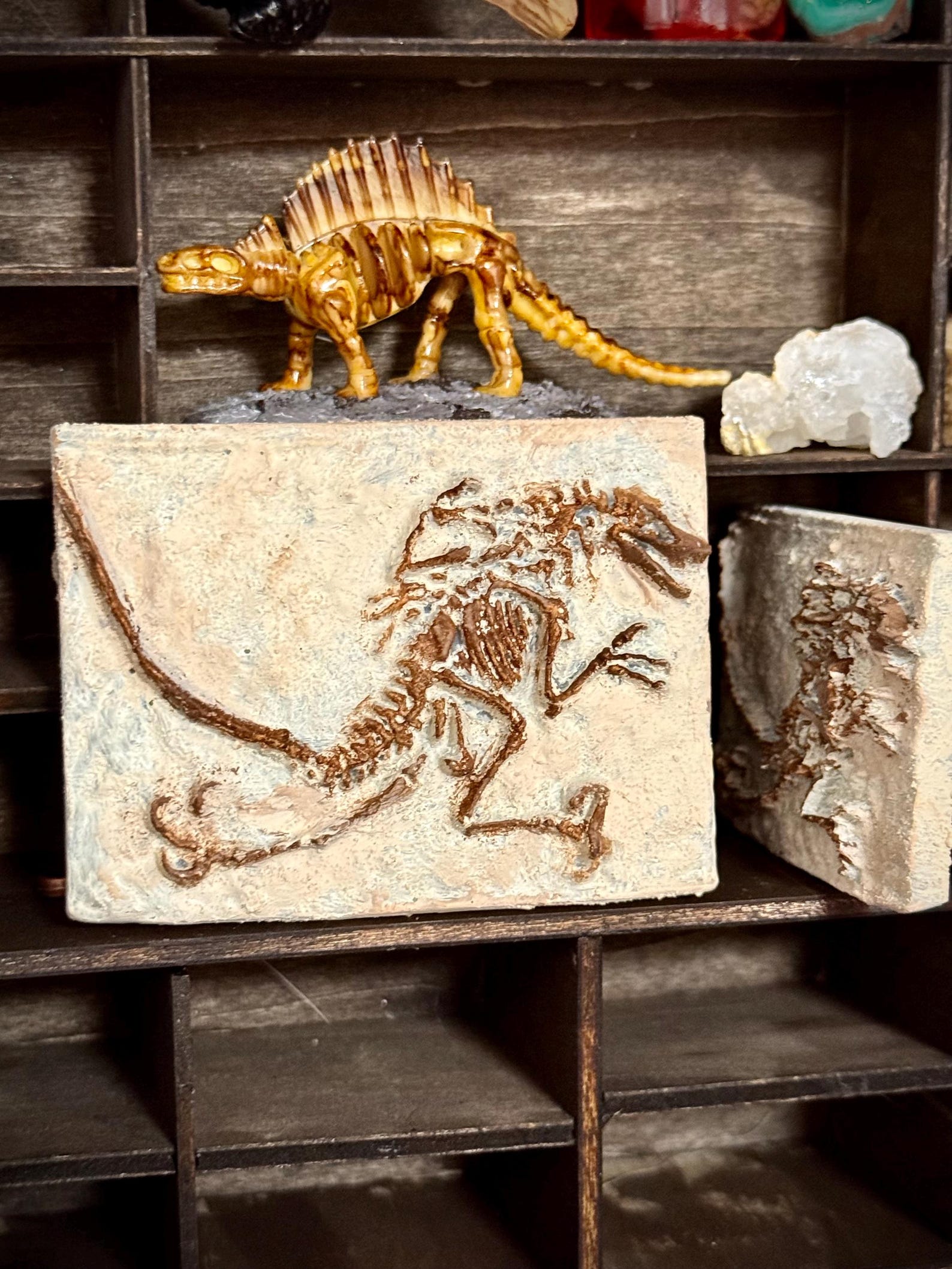 1:12 Multi-scale Prehistoric Fossil Specimen Dollhouse Miniature ...