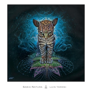 Sabia Natura – Psychedelic Poster Print by Luis Tamani – Visionary Shamanic Art