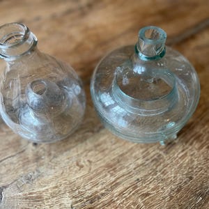 French Fly Catcher - Etsy