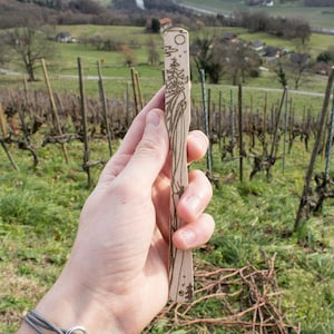 Kletterbürste, hergestellt in Frankreich
