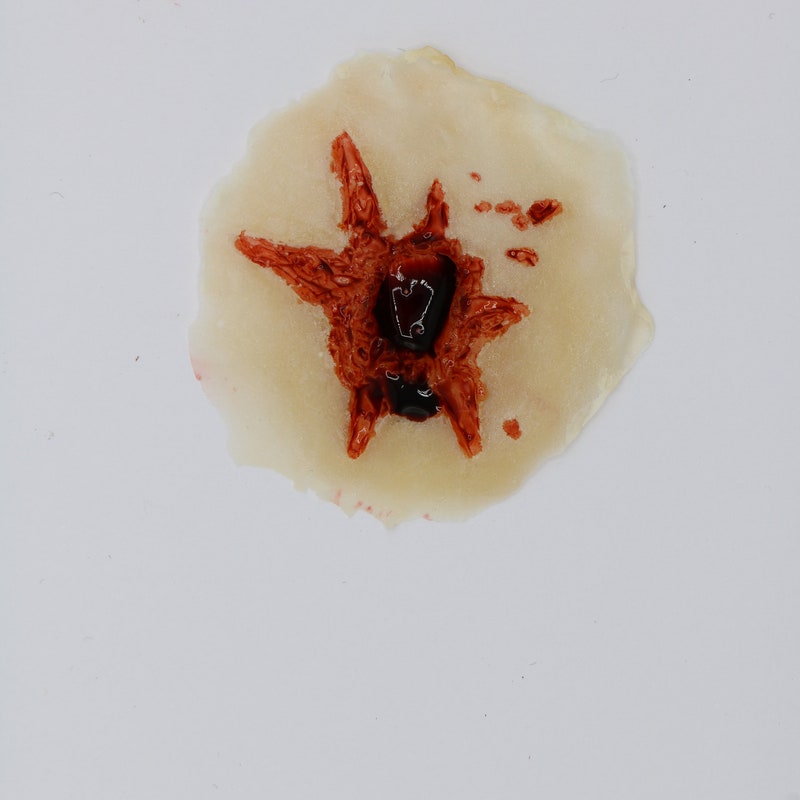 Latex Glass Wound Prosthetic Adult Flesh