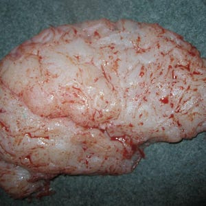Silicone Zombie Brain Prosthetic. Prosthetic brain. Halloween. Film, TV. Theatre Prop. Zombies. Special Effects Make-Up. Prosthetics.