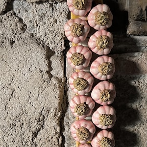 Könnte beinhalten: Eine Reihe von 14 Keramik-Knoblauchzehen in rosa und braunen Tönen, vertikal auf einem gelben Ständer angeordnet.