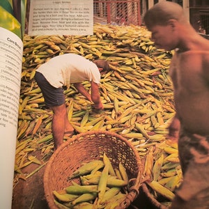 Culinaria Les Caraïbes Une découverte culinaire image 4