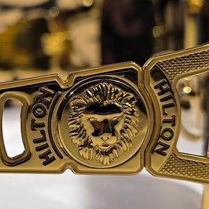 May include: Close-up of gold-colored sunglasses with the word "HILTON" on the frame. The sunglasses feature a lion's head emblem in the center. The frame has a textured design.