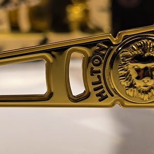 May include: Close-up of a gold-colored sunglass frame. The frame features a rectangular cutout and the word "HILTON" in black lettering. A lion's head emblem is on the side of the frame.