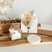 see more listings in the COFFRET CADEAU section