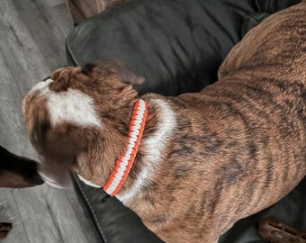 Handmade Paracord Dog Collar - Personalized Pet Accessories