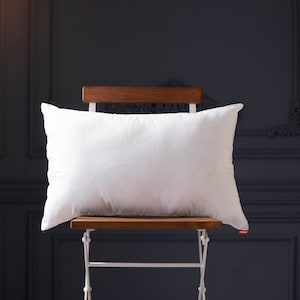 May include: A white pillow sits on a wooden chair with a white metal frame against a dark blue wall.