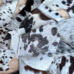 May include: Assortment of cowhide leather pieces in various shapes and sizes. The hides feature a mix of colors, including white, black, brown, and gray, with spotted and mottled patterns. The pieces are arranged on a light-colored wooden surface.