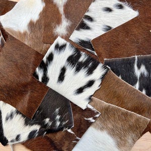 May include: A collection of cowhide patches in various shades of brown, white, and black. The patches are arranged in a random pattern, creating a unique and textured design.