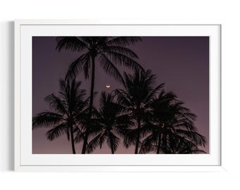 Port Douglas Photography | Sunset Colours & Blue Water | Queensland Art Print | Golder Hour | Sunset