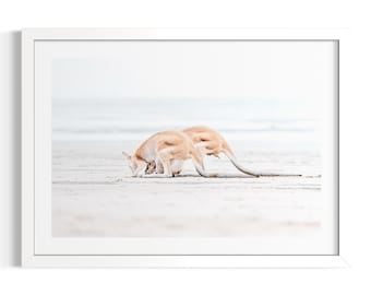 Kangaroo Family Beach Queensland | Australian Coastal Fine Art | Ocean Landscape Photography | Minimal Beach Wall Art | Limited Edition