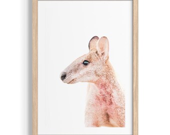 Kangaroo Beach Queensland | Australian Coastal Fine Art | Ocean Landscape Photography | Minimal Beach Wall Art | Limited Edition Print
