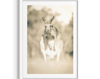 Kangaroo Beach Queensland | Beaux-arts côtiers australiens | Photographie de paysage océanique | Art mural minimaliste de plage | Impression en édition limitée