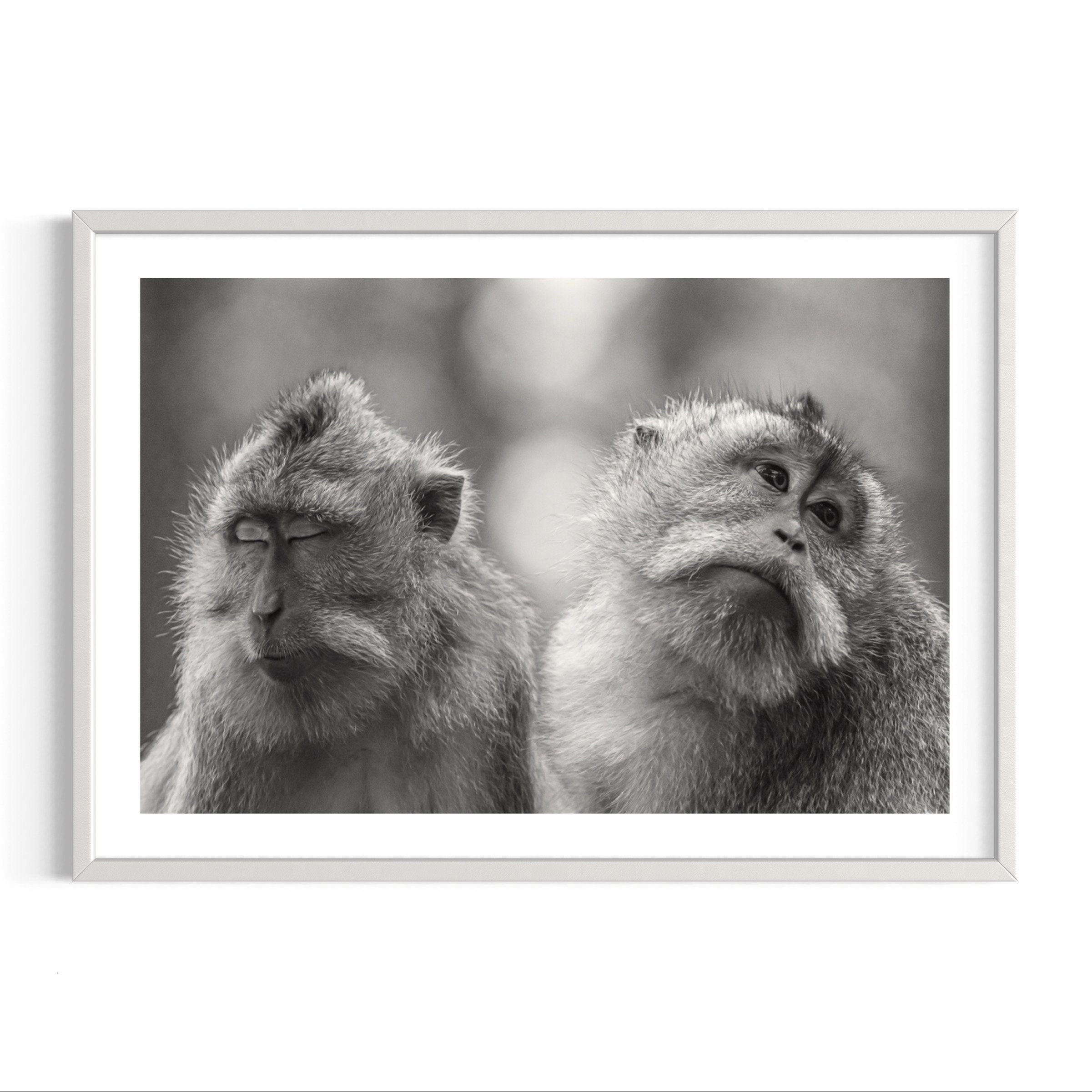 Indonesia | Bali | Monkey | Familiy | Love | Art Print | Original photography | Wildlife | Animals | Black and White