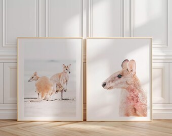 Kangaroo Family Beach Queensland | Australian Coastal Fine Art | Ocean Landscape Photography | Duo Print | Limited Edition Print