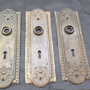 May include: Three rectangular brass door plates featuring an ornate embossed floral motif at the top and bottom, a central circular knob opening, and a lower keyhole cutout. Each plate is bordered by a decorative beaded edge design.