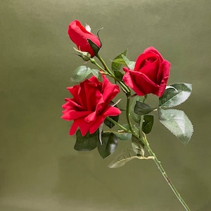 May include: A bouquet of three red roses with green leaves and stems. The roses are in full bloom and have a velvety texture.