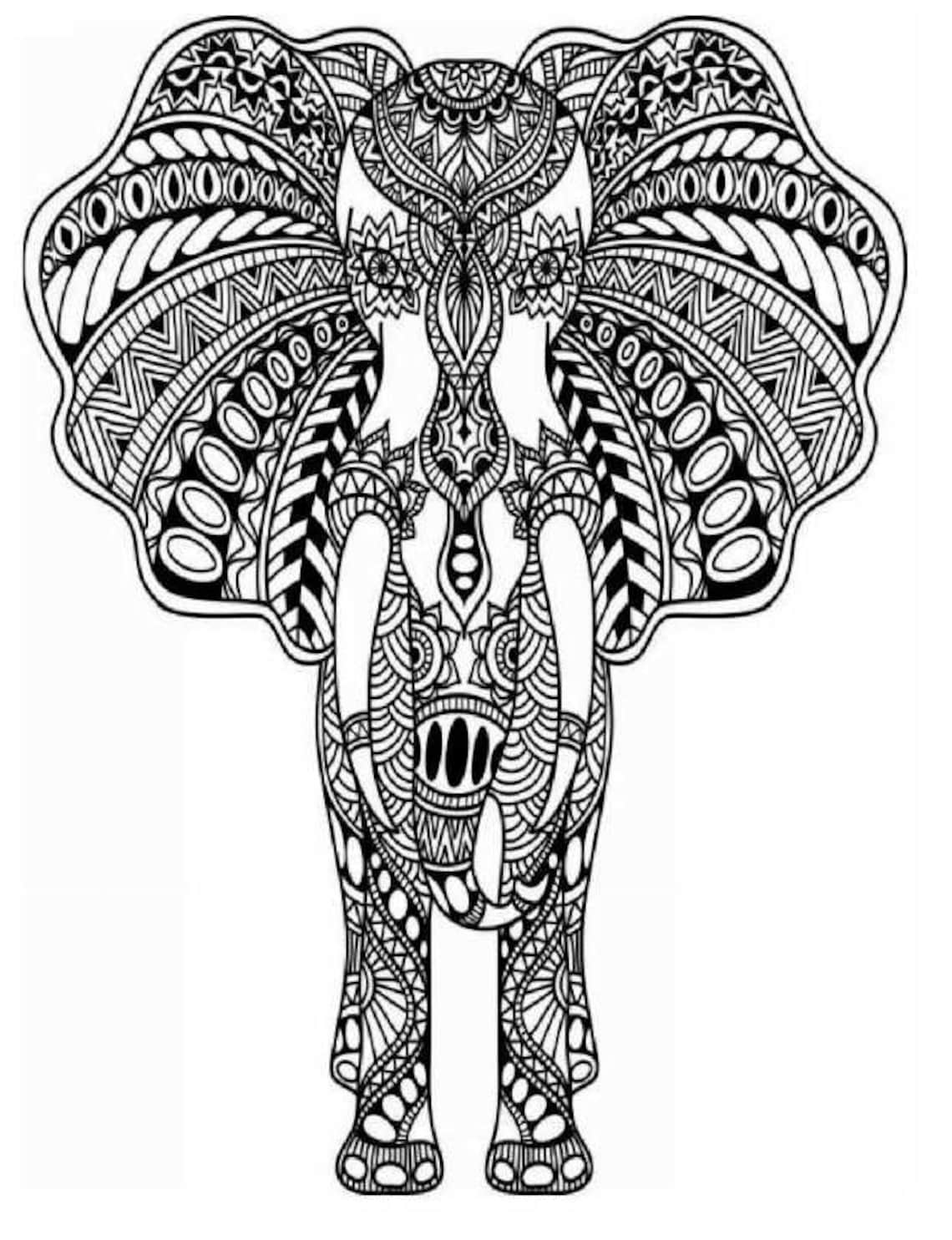 Detailed Animal Coloring Pages - Etsy