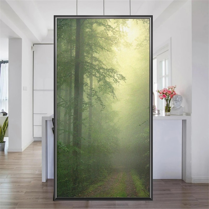May include: A framed photograph of a misty forest path with tall trees and sunlight filtering through the leaves.