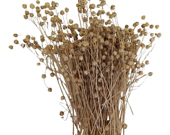 Flax spray, dried flax stems, hamster flax, bird flax, UK farmer supplied, hand harvested