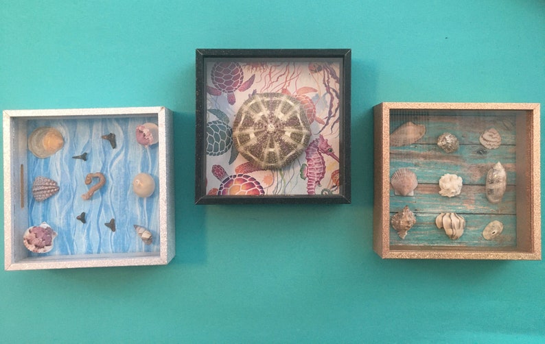 Treasure Shadow Boxes Etsy